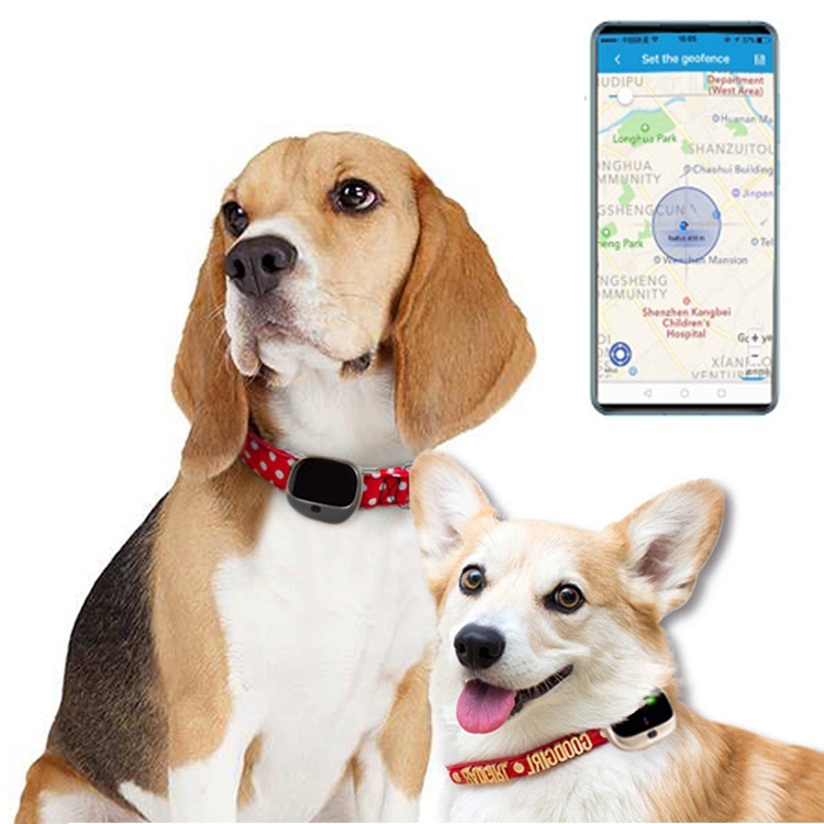 Cheap dog tracking systems for outlet sale